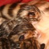 060116_sans titre_034-19